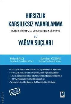 Hırsızlık, Karşılıksız Yararlanma ve Yağma Suçları