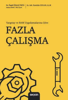 Fazla Çalışma